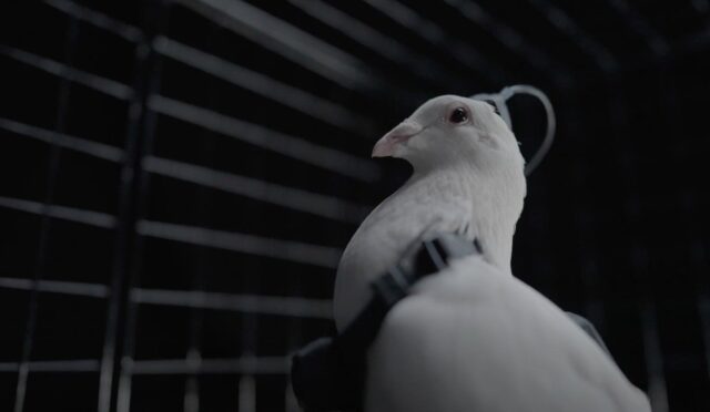 69284b393b659209de561bd1_3378a439d551cb0de6e8142e13b0234e