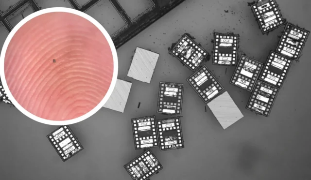 Untitled-design-2025-12-16T053218