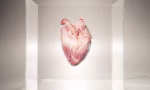 heart-in-a-box-royalty-free-image-1764712330