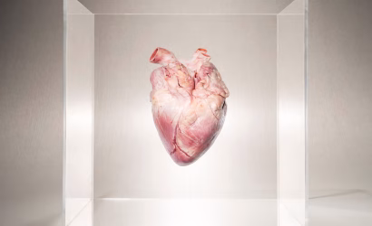 heart-in-a-box-royalty-free-image-1764712330