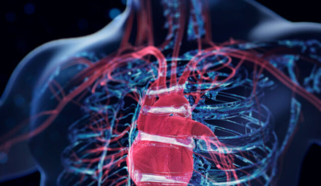 GettyImages-2101175464-696x464