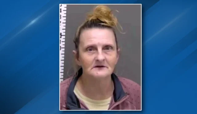 9b2eb922-fe0c-4d2d-a9c3-e0ceabc7c79a-AngelaLippsmug