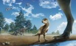 fossil-x-ray-reveals-n-2