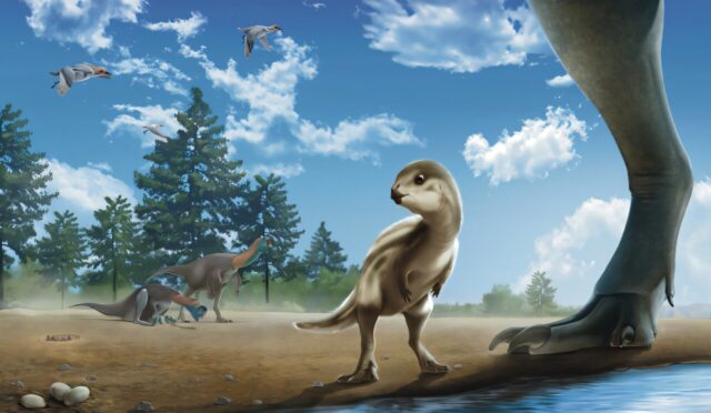 fossil-x-ray-reveals-n-2