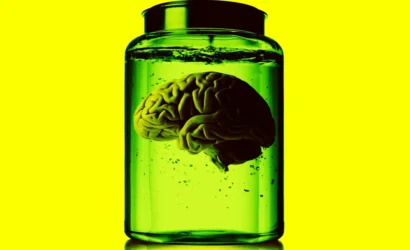 lab-grown-brain-organoid