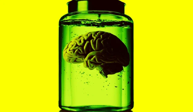 lab-grown-brain-organoid
