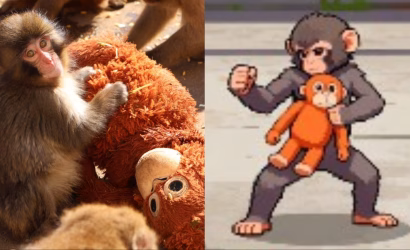 punch-ichikawa-zoo-viral-monkey