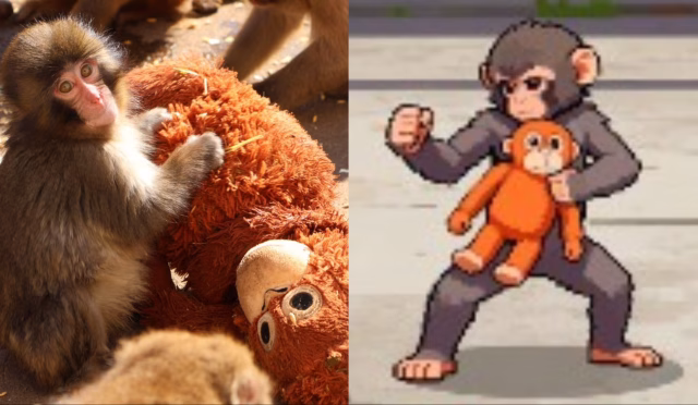 punch-ichikawa-zoo-viral-monkey