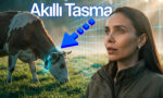 thumb1