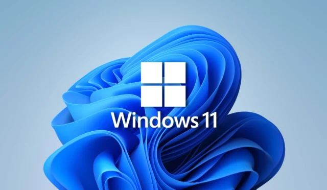 0_Windows_11
