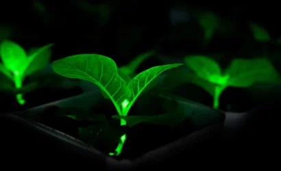 bioengineering-plants-glow-light-cities