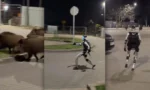 humanoid-robot-chasing-wild-boars