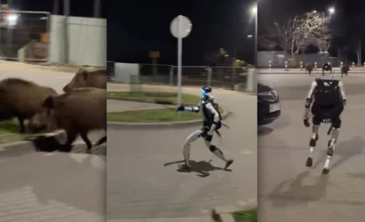 humanoid-robot-chasing-wild-boars