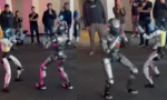 robo-fight-1778411416765