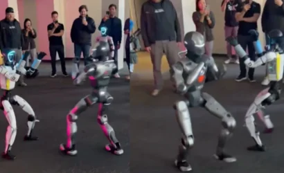 robo-fight-1778411416765