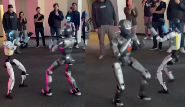 robo-fight-1778411416765