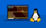 windowslinux