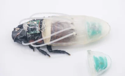 cyborg-remote-controlled-cockroaches-new-power