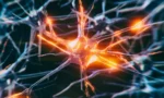 NeuronsInANetworkBrightOrange