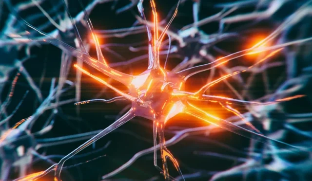 NeuronsInANetworkBrightOrange