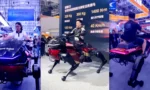 chinese-startup-shows-off-robot-horse-ride