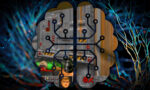 ai-simulated-doom