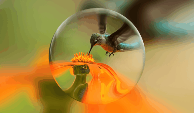 Genie-4-blog-header