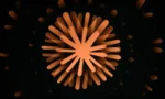 Untitled-design-2026-07-25T000909