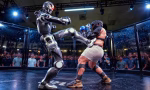 rek-frankie-lapenna-human-humanoid-fight-v2-czcZisbhx9bo0hHhI09lUUXRZUebGd